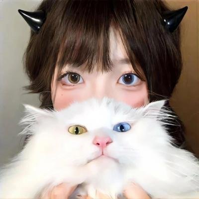 最爱喵星人:我猫威武